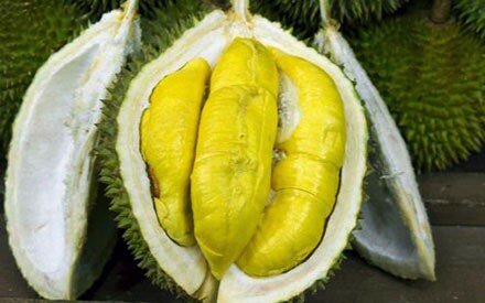 durian samen