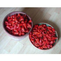 Dorset naga schärfste chili - Samen