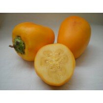 Solanum sessiliflorum, Cocona Saatgut
